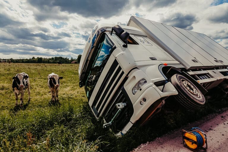 practice area - cattle and livestock truck wrecks, cattle truck accident lawyer